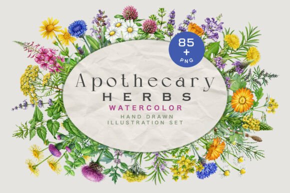 Apothecary Herbs Illustration Set: Bringing Vintage Botanical Charm to Modern Design