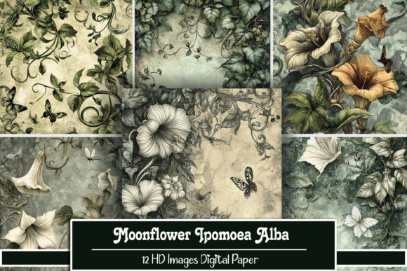 Moonflower Ipomoea Alba: Understanding the Botanical Beauty and Its Digital Applications